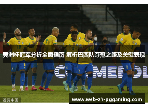 美洲杯冠军分析全面指南 解析巴西队夺冠之路及关键表现