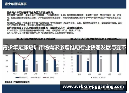 青少年足球培训市场需求激增推动行业快速发展与变革