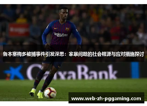 鲁本塞梅多被捕事件引发深思：家暴问题的社会根源与应对措施探讨