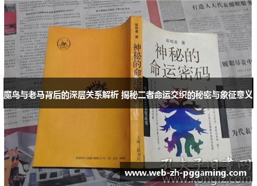 魔鸟与老马背后的深层关系解析 揭秘二者命运交织的秘密与象征意义